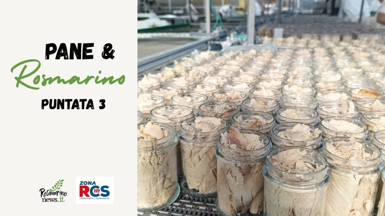 Pane e Rosmarino: Tonno, dal mare alla tavola