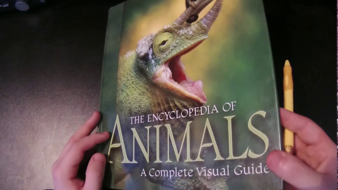 [ASMR] Flicking Through An Animal Encyclopedia! :D