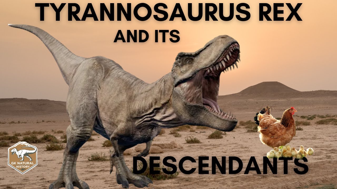 Tyrannosaurus Rex and its descendants