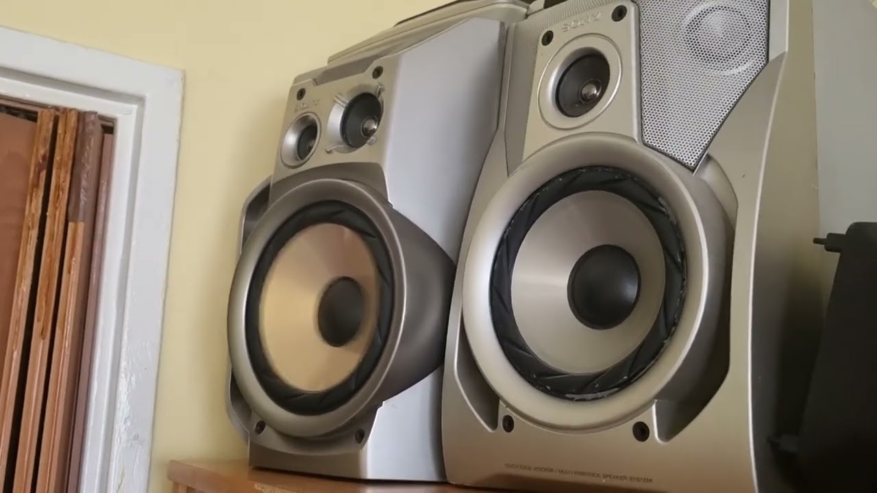 Sony RXD8S