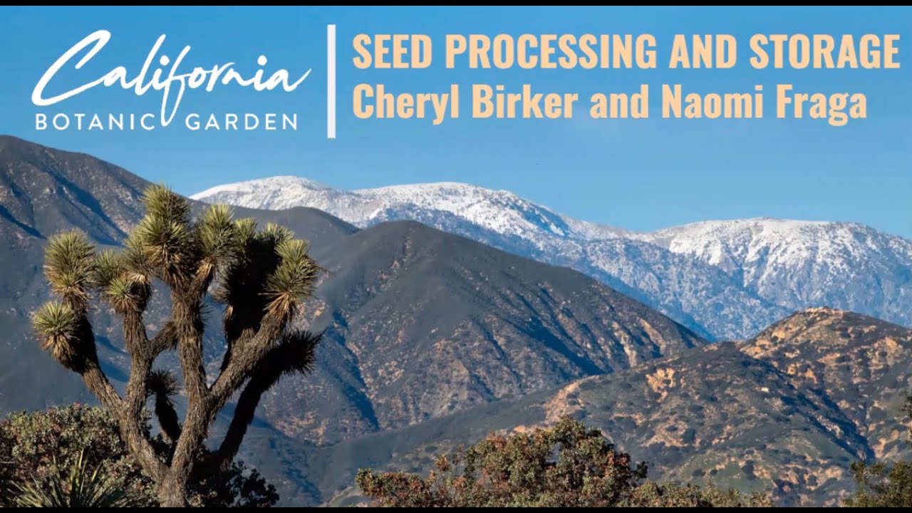 Seed Processing and Storage