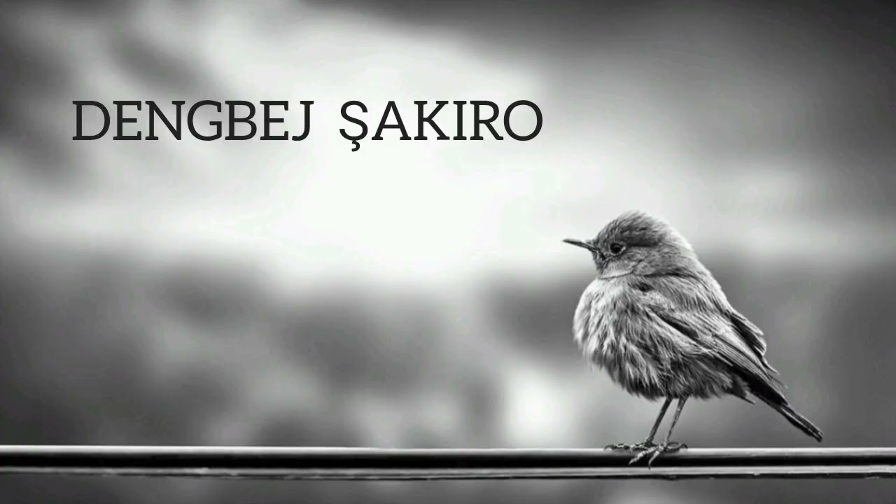 DENGBEJ ŞAKİRO