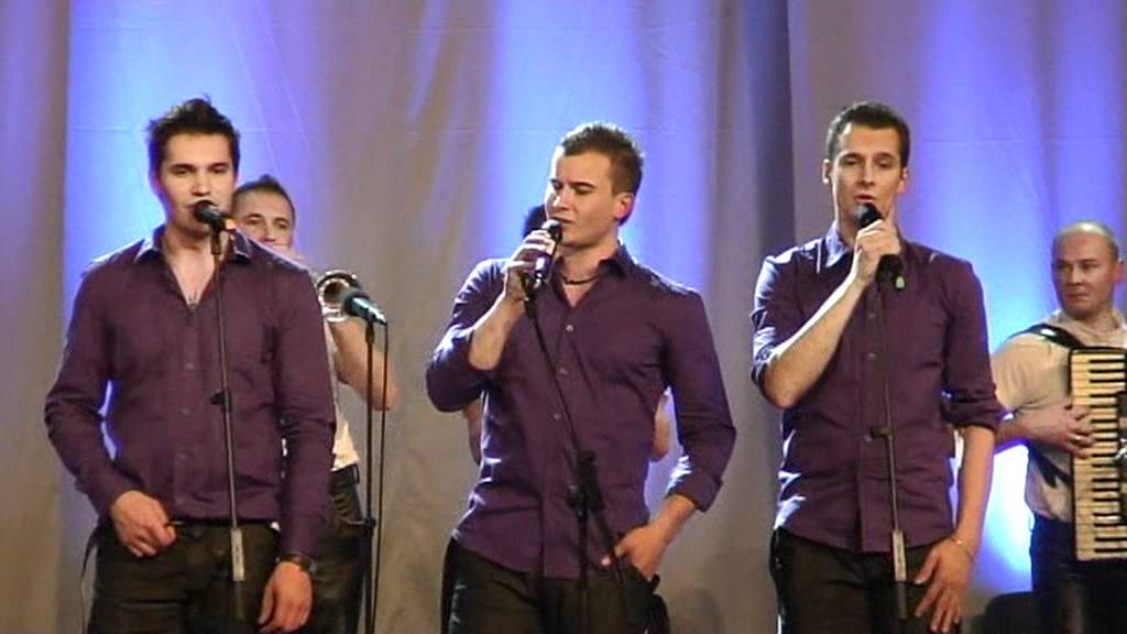 Modrijani & Skupina Gadi & Ansambel Petka - Domovina (v živo)