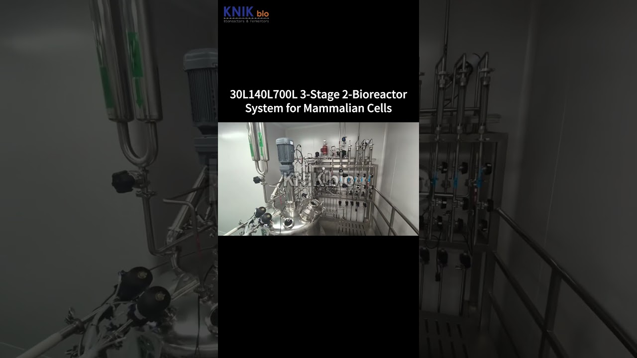 30L140L700L Scalable GMP Mammalian Cell Bioreactor System | KNIKbio