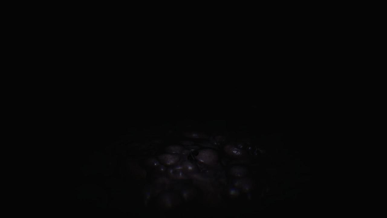 Little Nightmare
