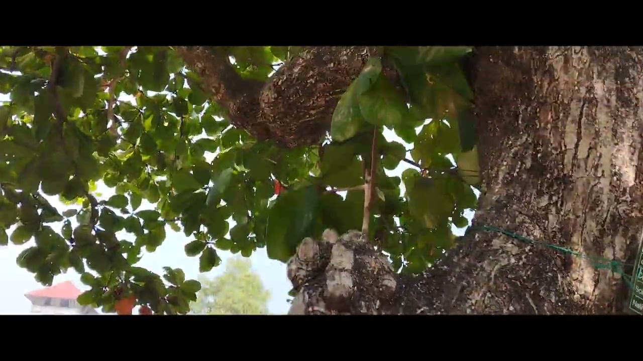 കൊച്ചി തുറമുഖം രൂപപ്പെട്ടത് 1341- ലെ വെള്ളപ്പൊക്കത്തെ തുടർന്ന്.