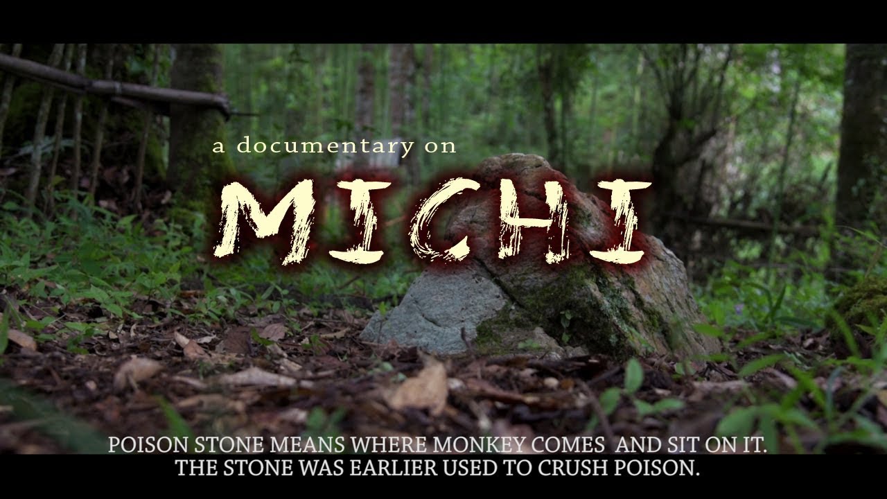 Michi Village || Documentary Film || Apatani || Apatani Village