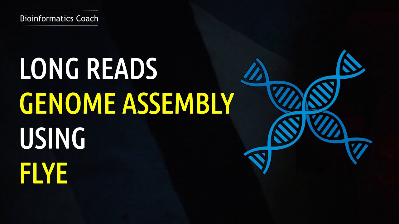 Genome Assembly Tutorial  -  Nanopore LONG READS(ONT) with  Flye |  Bioinformatics - Beginner Level