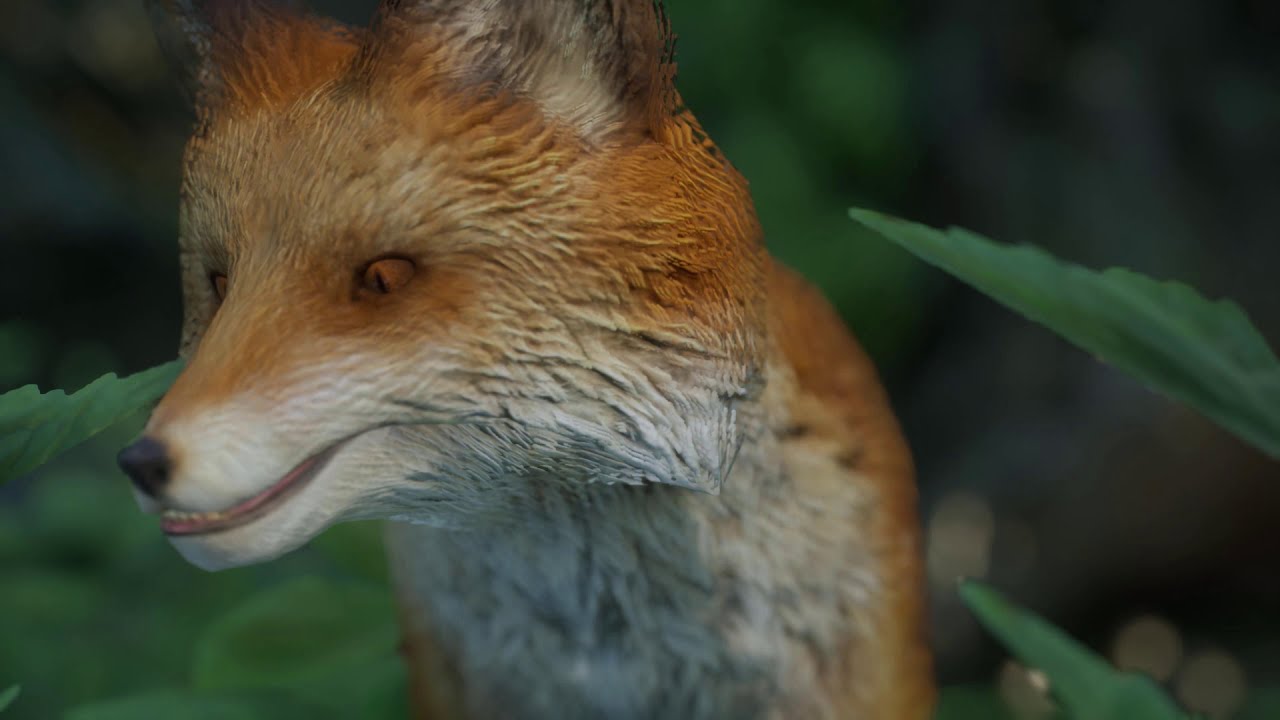 moral le corbeau et le renard  قصص الاطفال