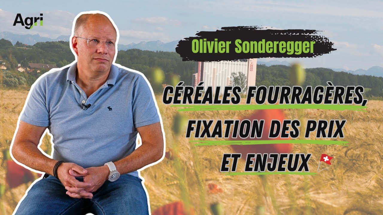 Les CÉRÉALES FOURRAGÈRES, un marché en CRISE ? l Olivier Sonderegger