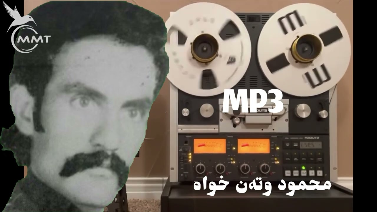 محمود وطن خواە -3