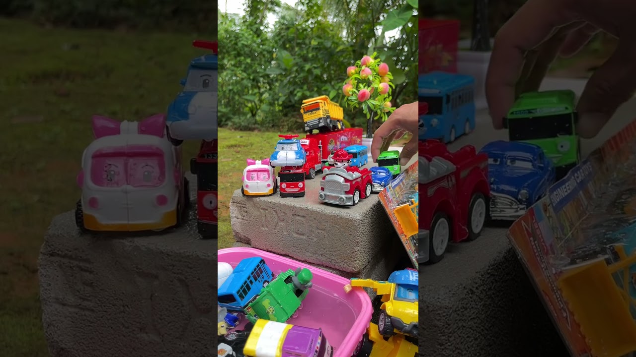 Disney Pixar Cars Tayo and Paw Patrol Adventure 