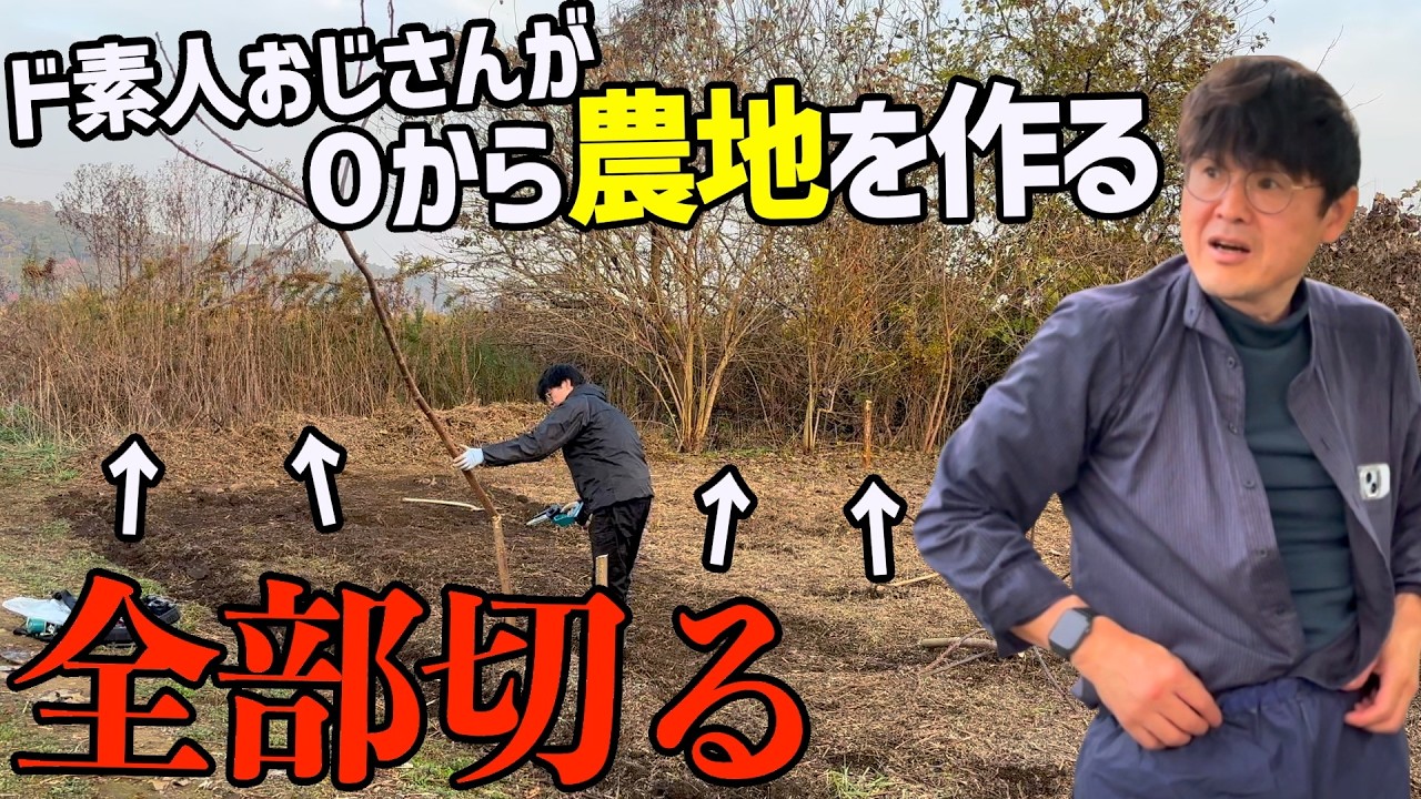 助けてください...耕作放棄地の木を抜く作業が想像以上に地獄でした