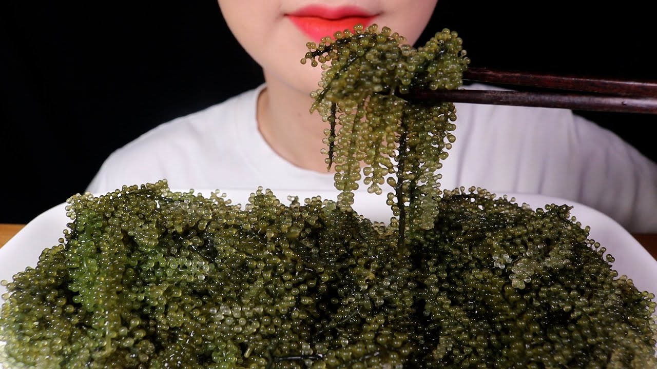 오랜만에 바다포도 먹방 Sea Grapes MUKBANG