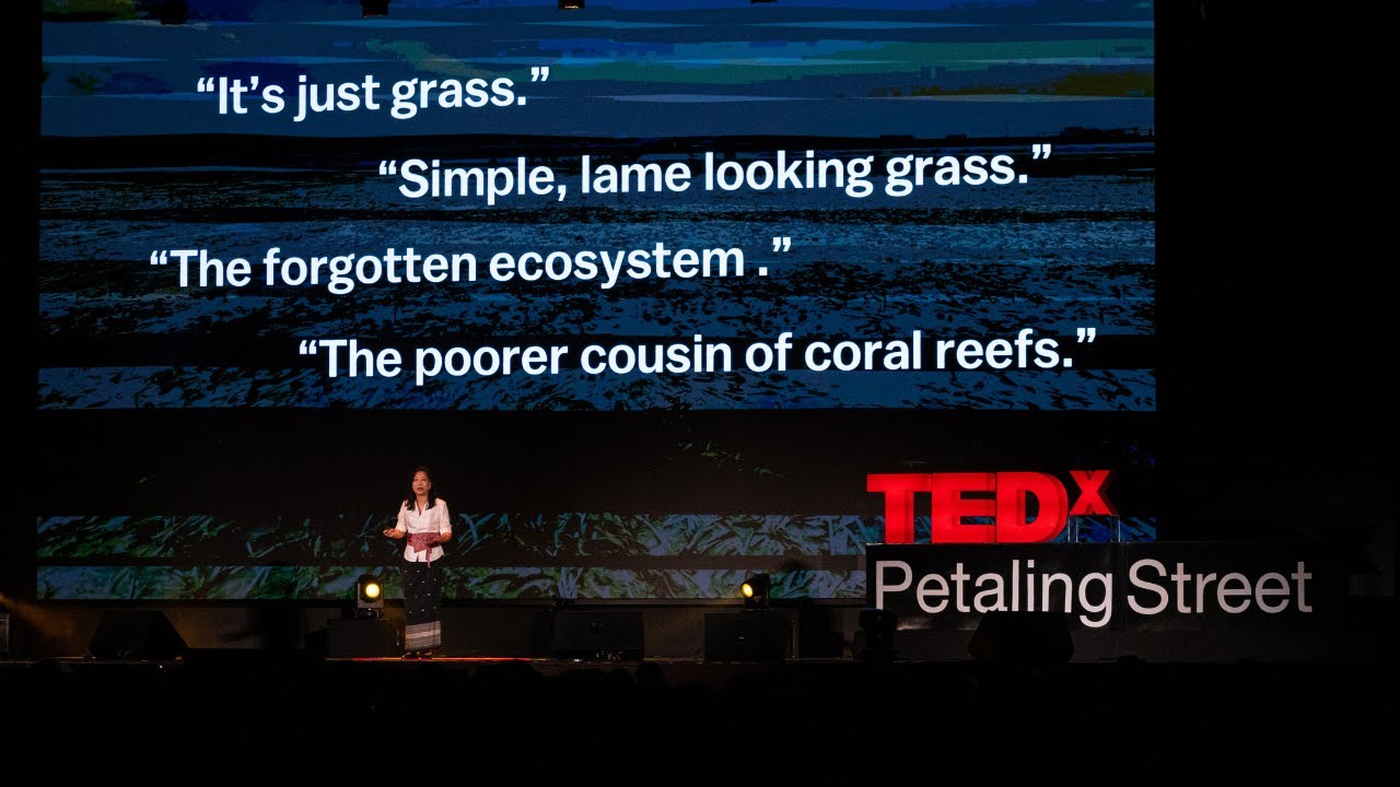 海底的秘密花园: 食物、家园与希望的海草故事 Seagrass Stories of Food, Home & Hope | 黄莲心 Jillian Ooi | TEDxPetalingStreet