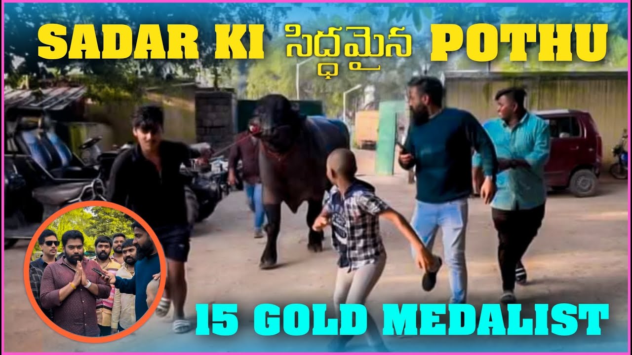 Sadar Ki సిద్ధమైన Pothu 15 Gold Medalist | Pareshan Family