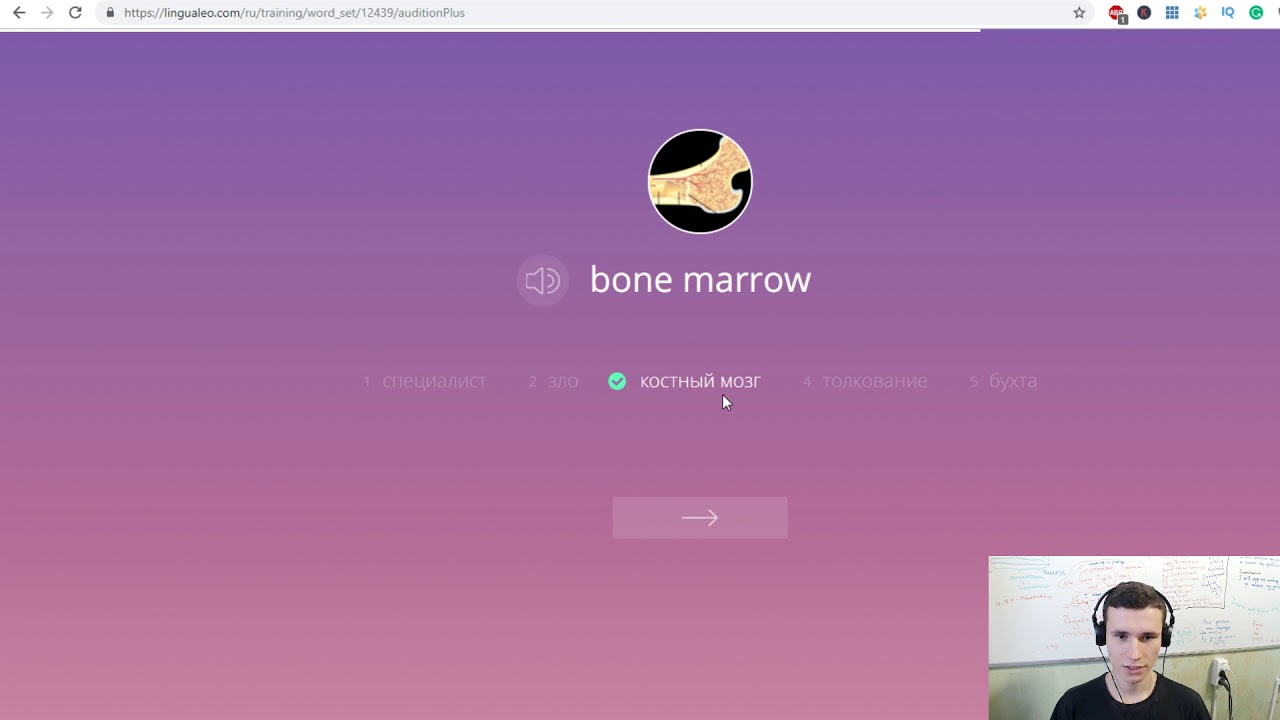 Human bones - British Council Vocabulary Set | Learning English together via LinguaLeo | 