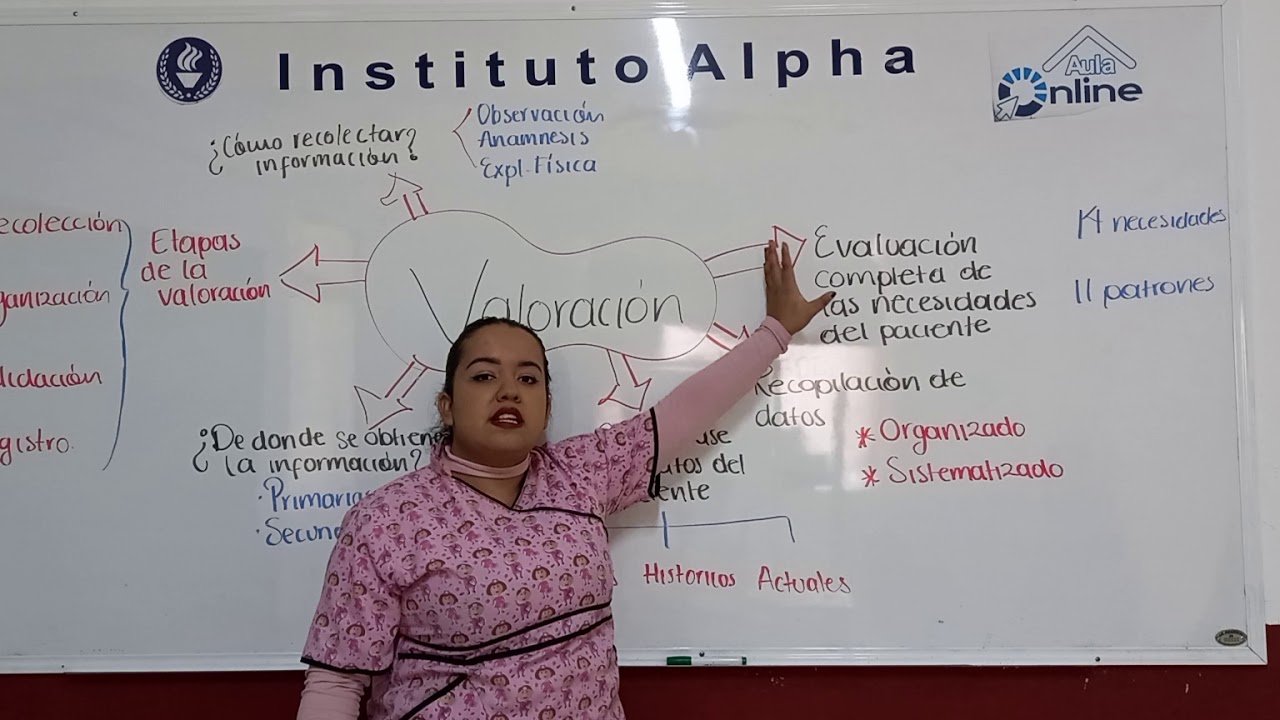 ETAPA 1 DEL P.A.E: VALORACIÓN   *OBSERVACION *ANAMNESIS *EXPLORACION FISICA
