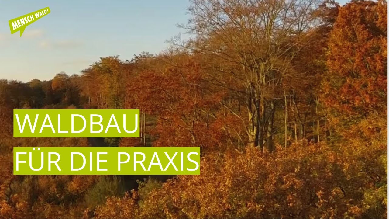 Waldbau für die Praxis - der Eichenparcours in Arnsberg