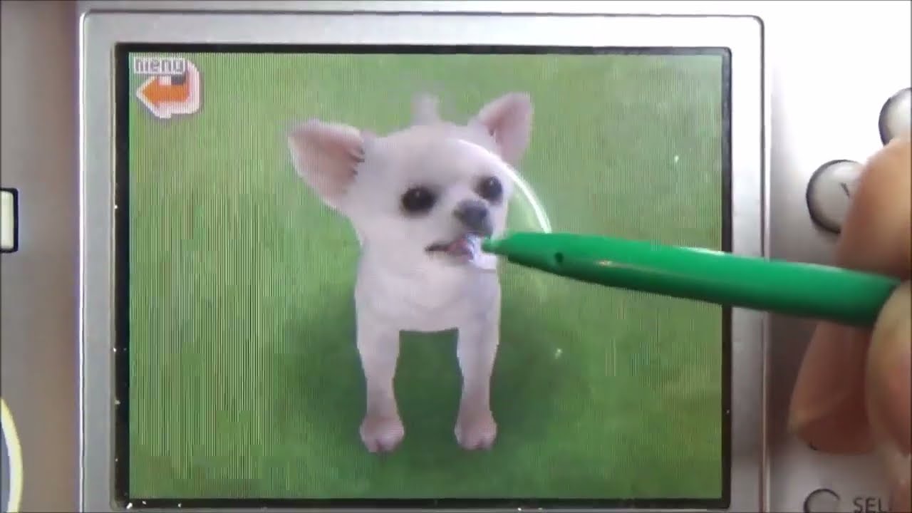 Nouvelle Console } + Nintendogs sur DS { qu'une personne ma offert } !!!