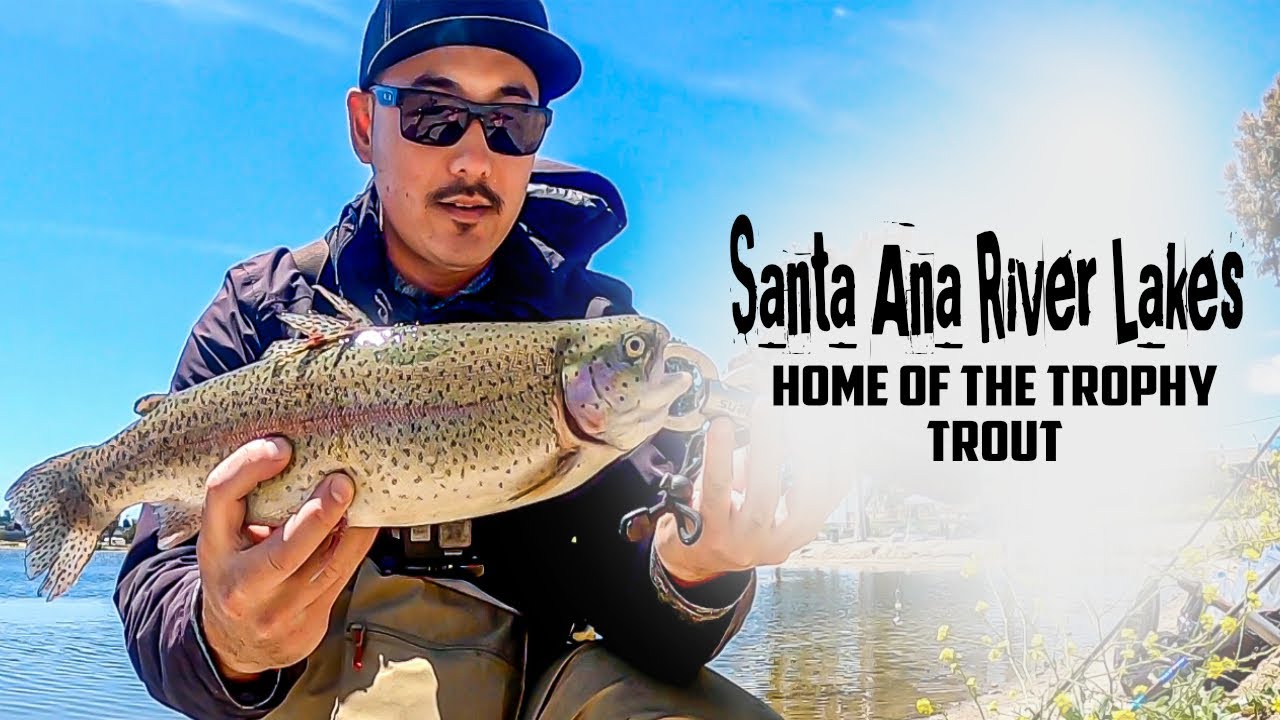 Fishing for trout at THE MUD HOLE | SANTA ANA RIVER LAKES | SARL | Trout fishing