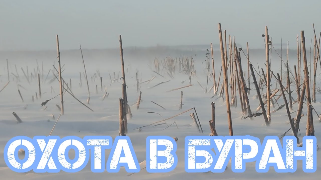 259-Охота на ЗАЙЦА. Охота в БУРАН.(14.12.2025)
