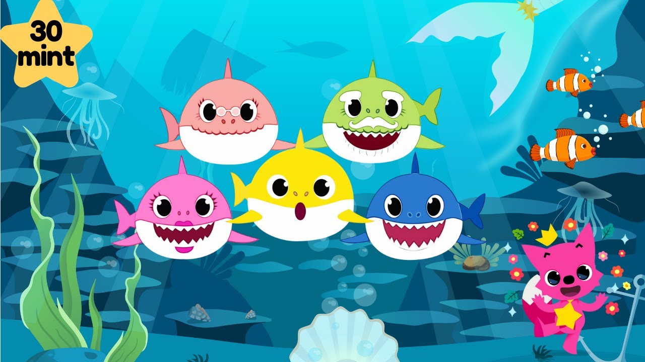 baby shark | sea animals | baby shark song | aquatic animals for kids | learn sea animals
