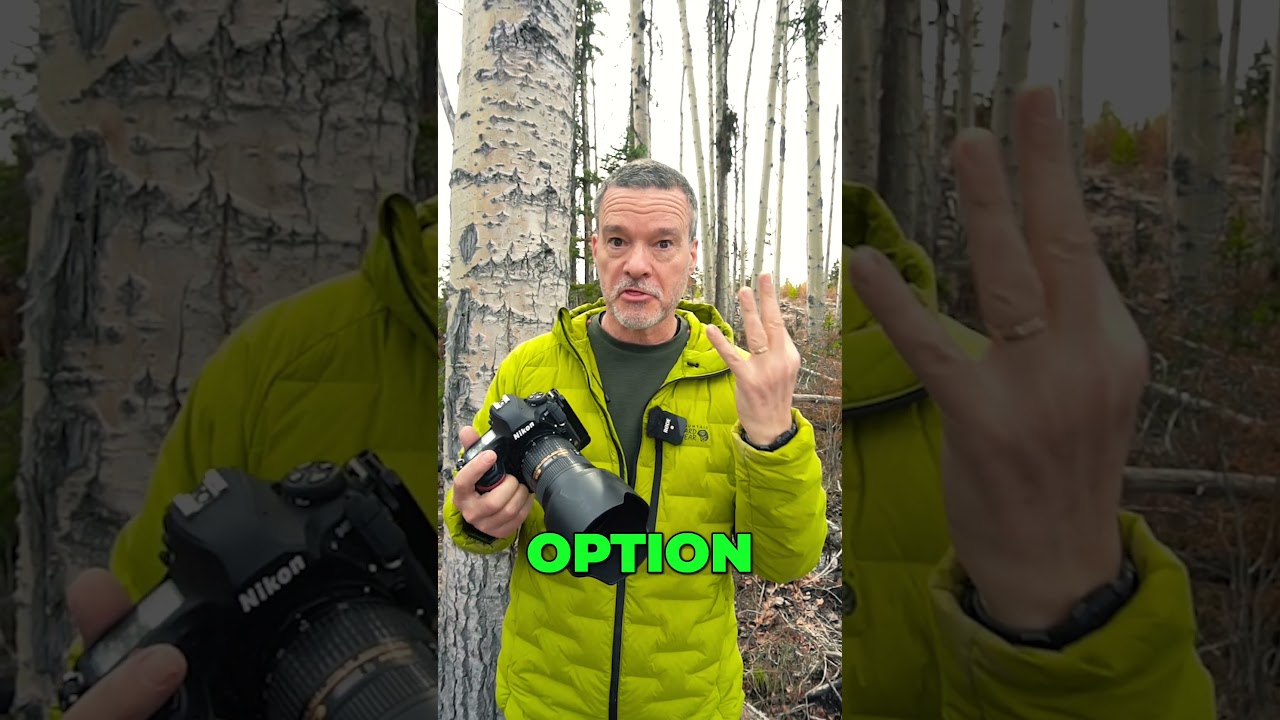 How would you photograph these trees?