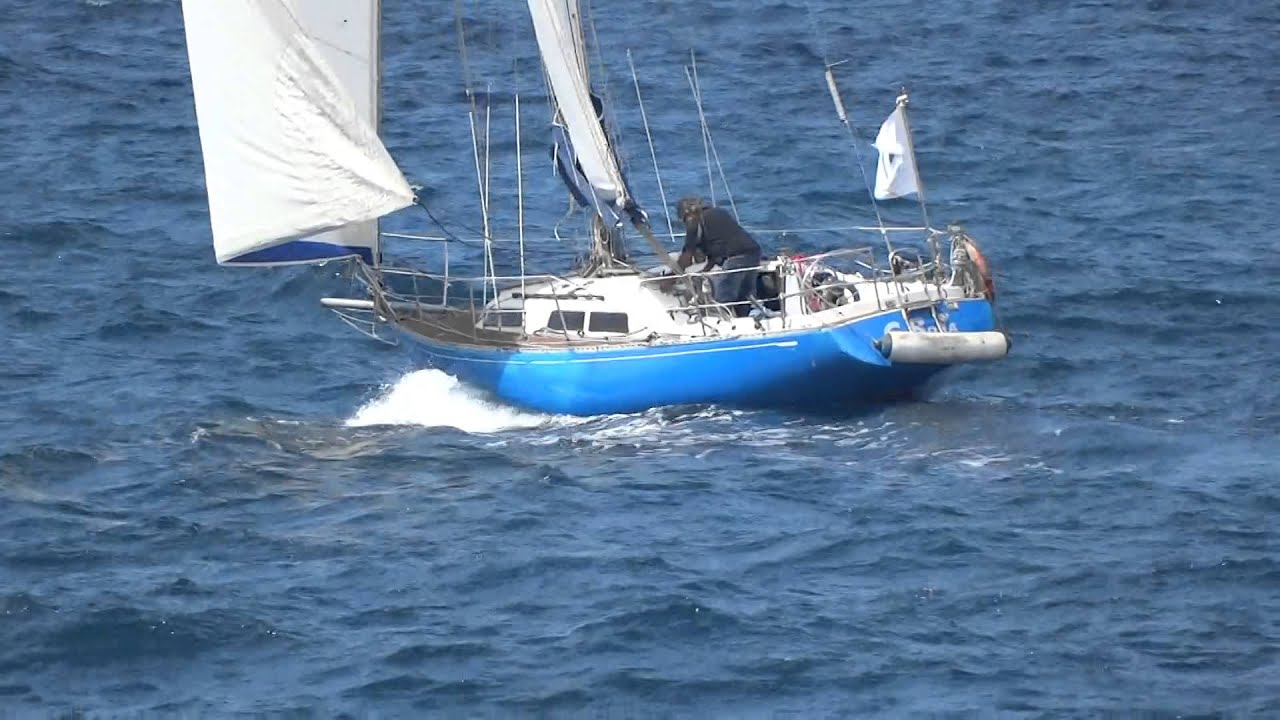 Puma 34.