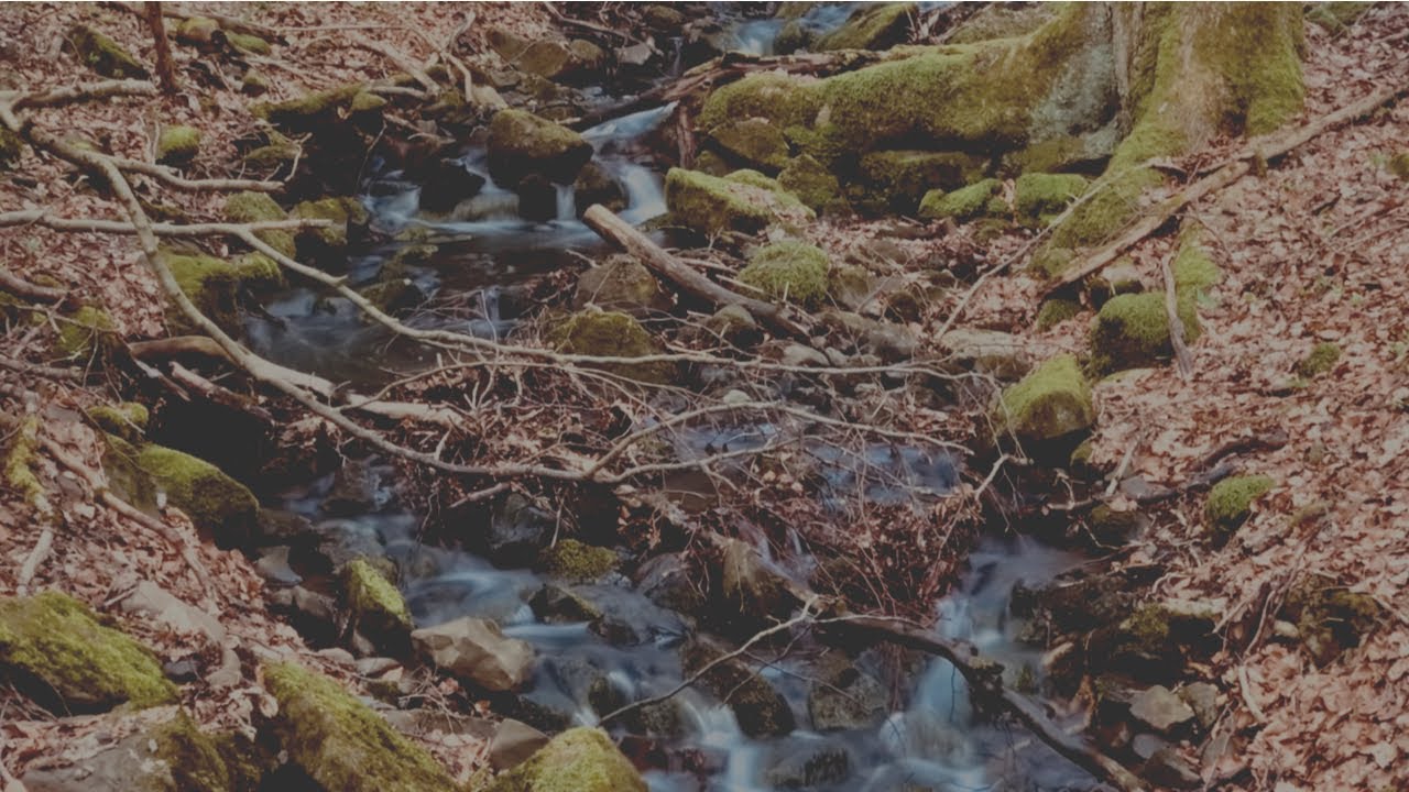 😌🧘🏻‍♀️ 10 Minuten Entspannung bei herrlichem Wasserrauschen.