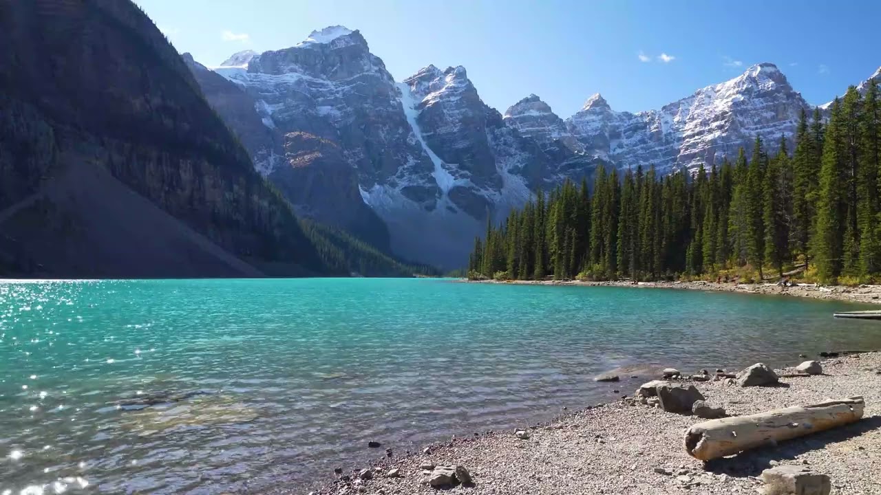 M&Uacute;SICA REIKI RELAJANTE para Sanar Cuerpo, Mente y Alma | Frecuencia Sanadora ELIMINA Miedos y Culpa