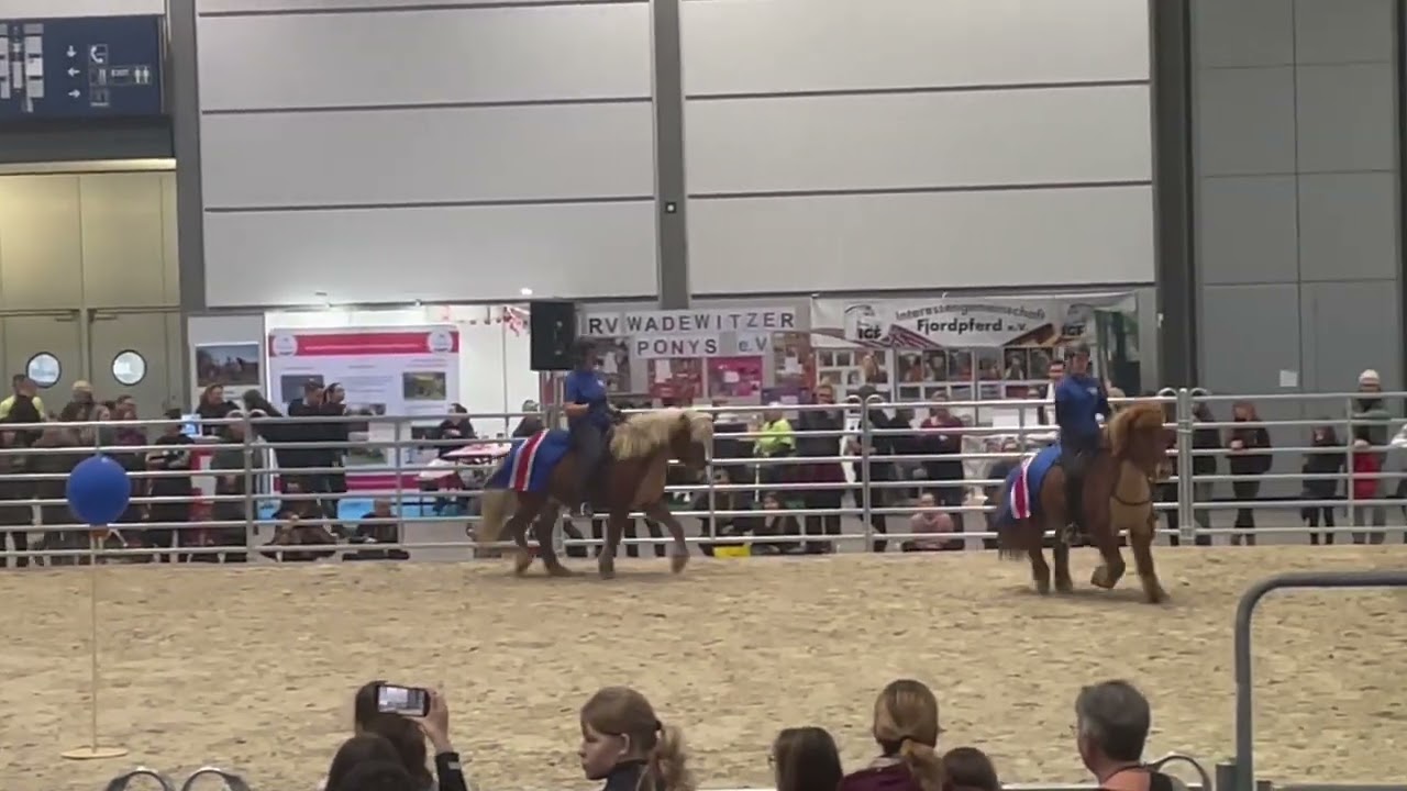 Die Isis auf der Partner Pferd