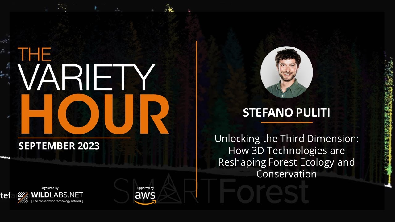 Stefano Puliti: How 3D Technologies are Reshaping Forest Ecology and Conservation
