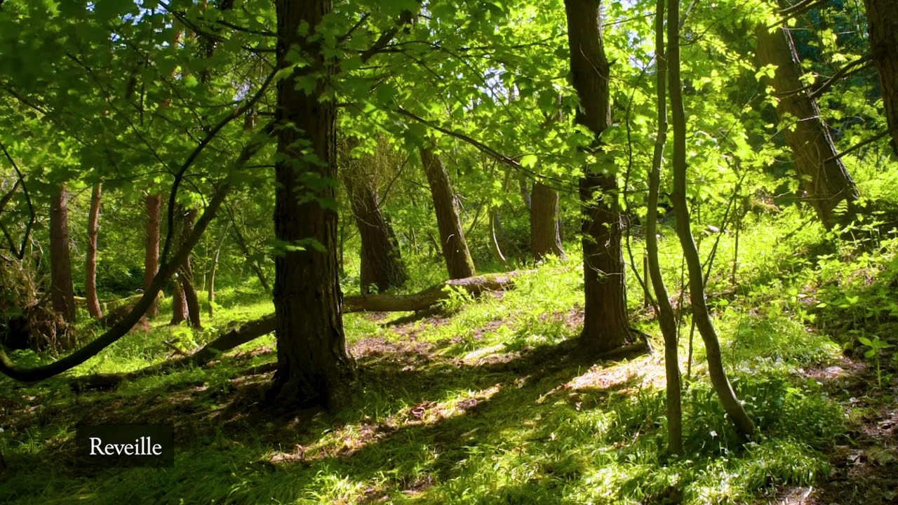 A Shropshire Lad by A E Housman