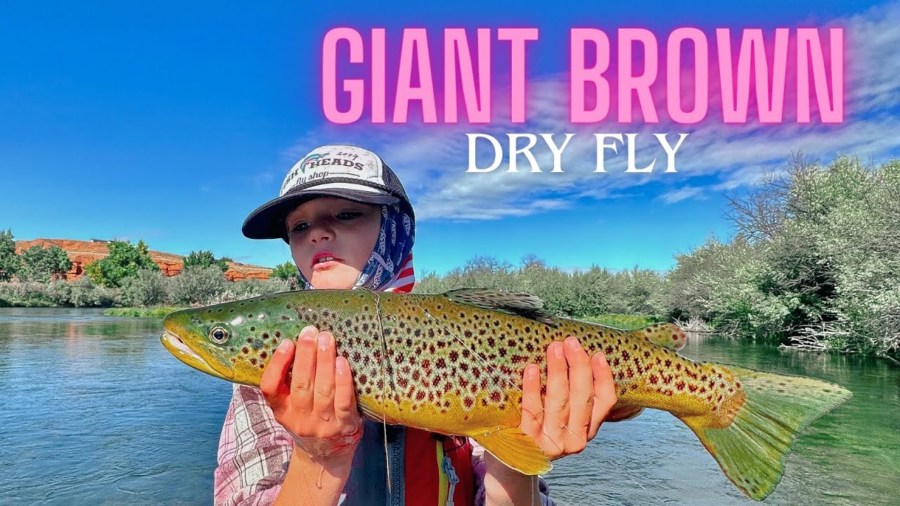 Fly Fishing : 7 year old VS Brown Trout with a 4 weight and Dry Fly