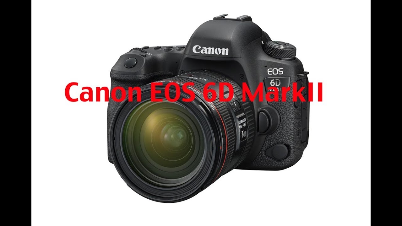 Canon EOS 6D Mark II, reflex full frame, primo approccio