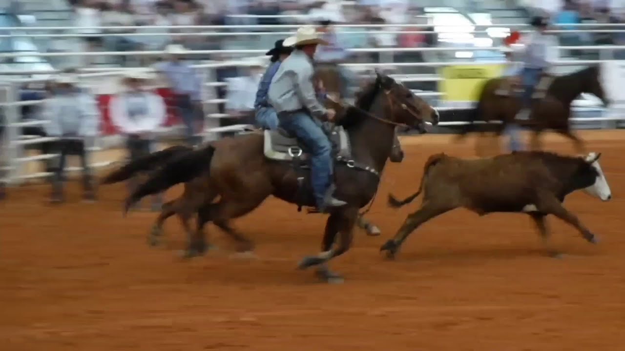 2021 Arcadia Florida Rodeo Highlights