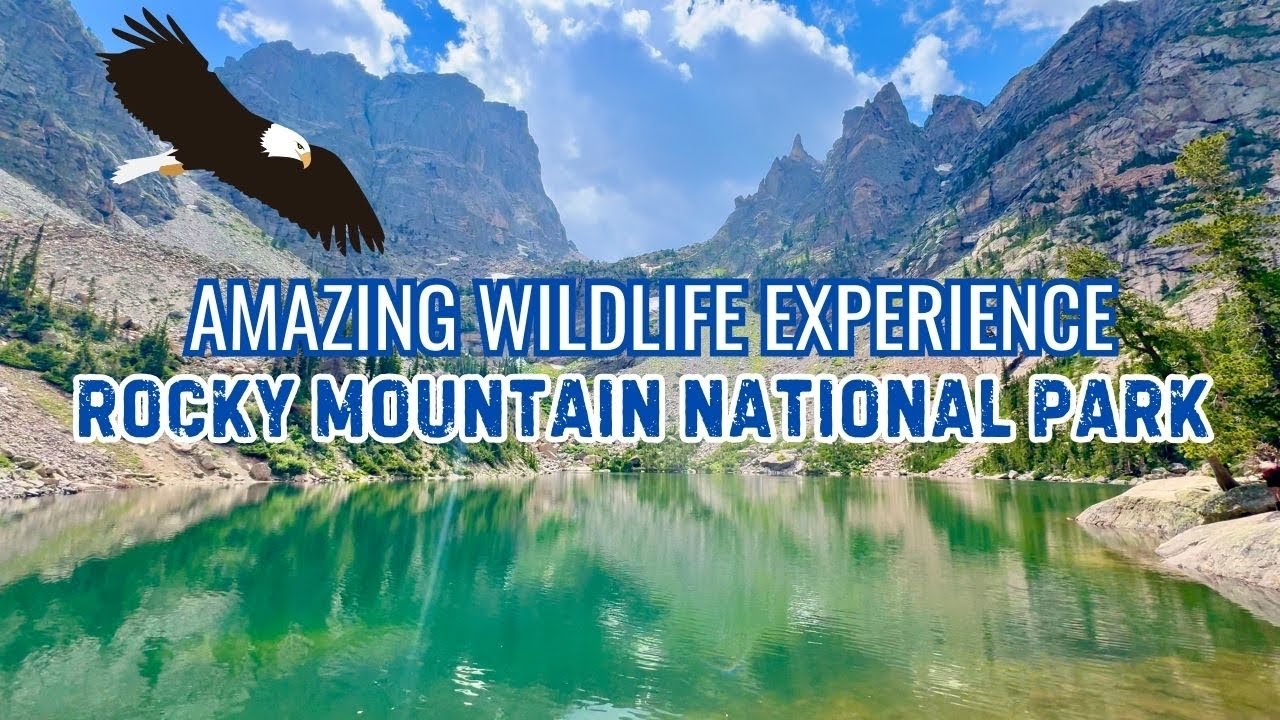 Hiking 4 alpine lakes on “Bear Lake Trailhead” at RMNP | Wildlife Encounters