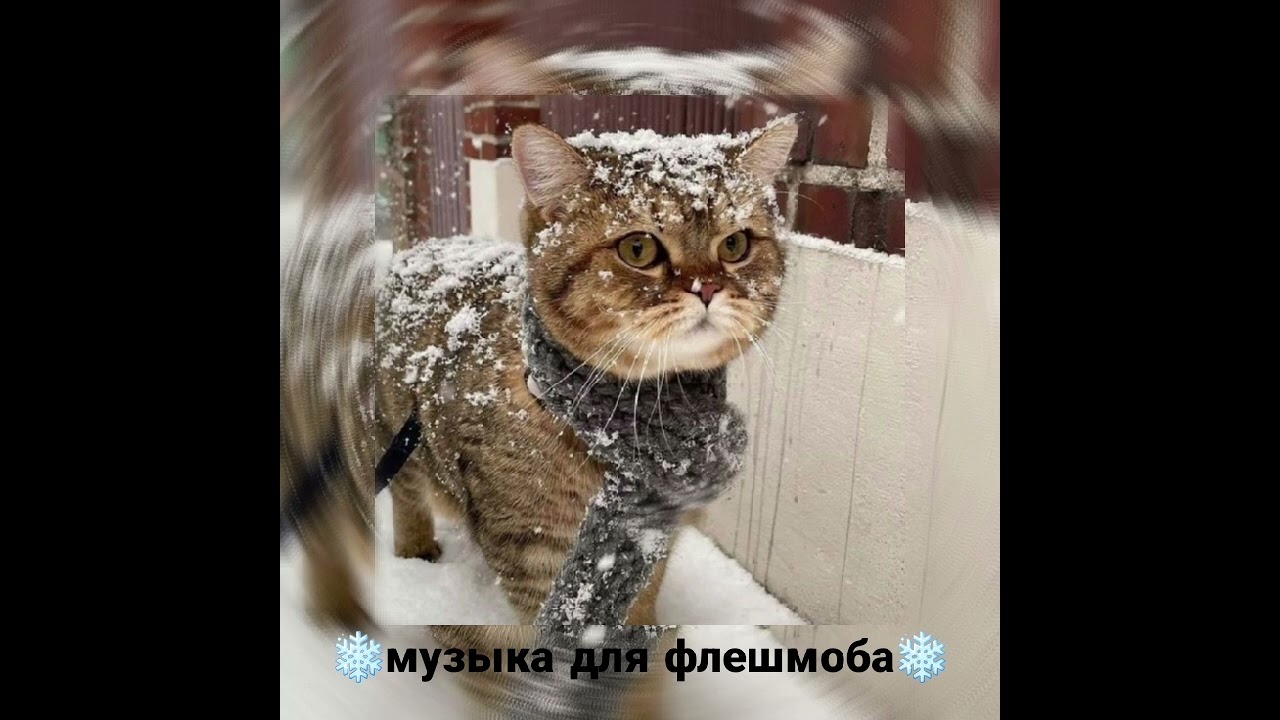 музыка для флешмоба