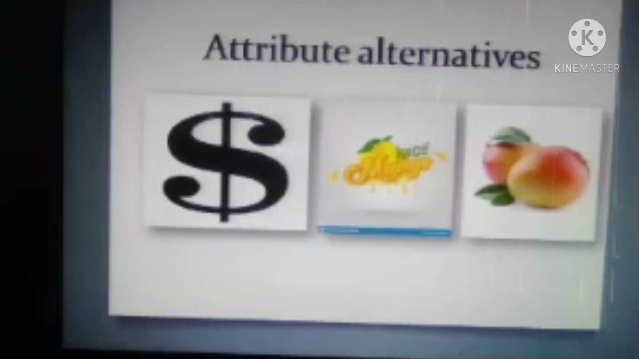 CHAPTER 3 CUSTOMER PERCEPTION - DRIVEN PRICING