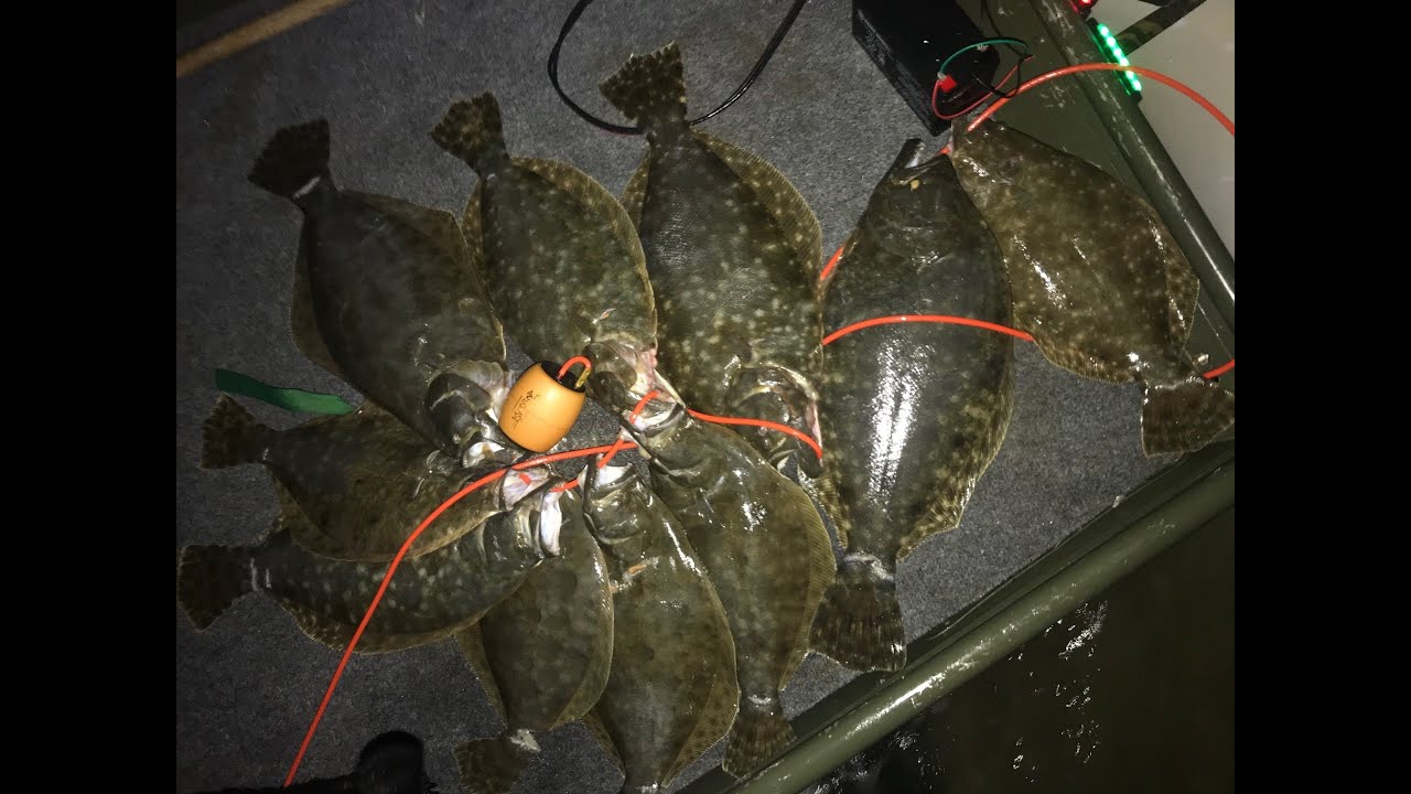 Galveston Flounder Gigging During Quarantine