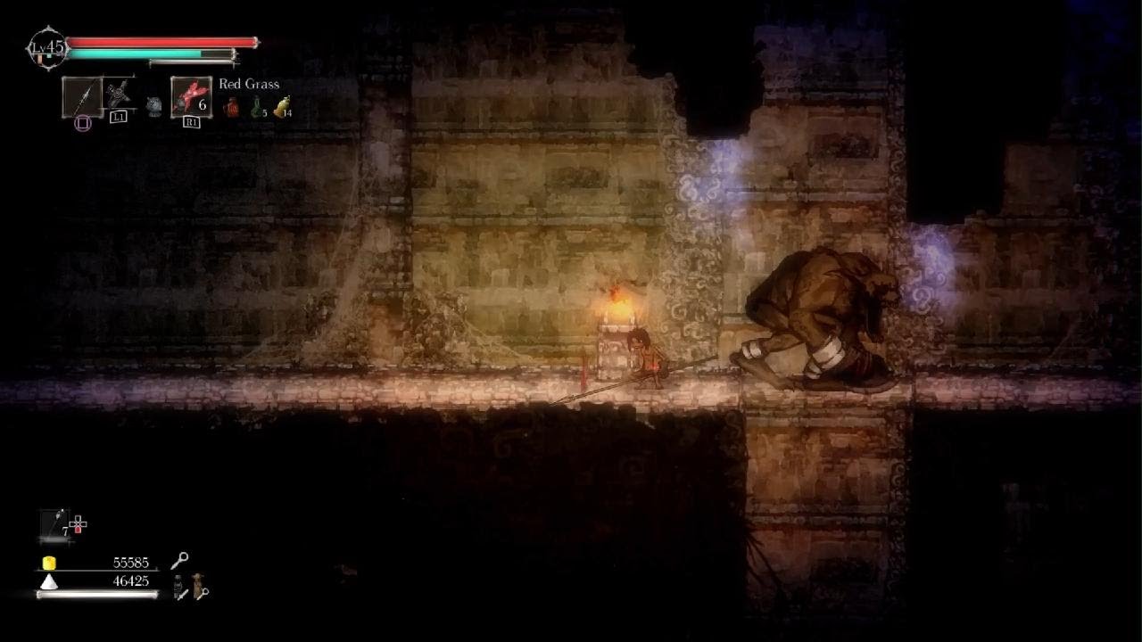 Salt and Sanctuary short and sweet for this game