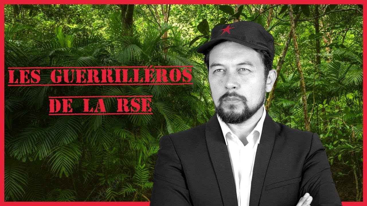 Les guerriléros de la RSE - Karim Duval