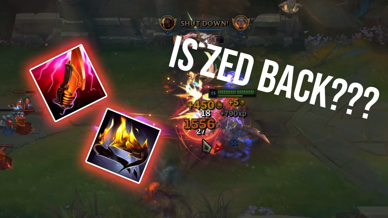 Zed Montage #13