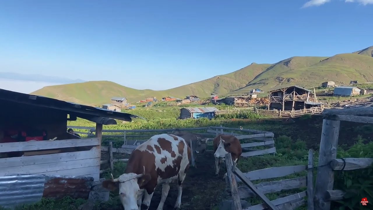 Şaşortum Behey - K&ouml;yl&uuml; T&uuml;rk&uuml;s&uuml; (S&ouml;z: Bahaddin Yazıcı)