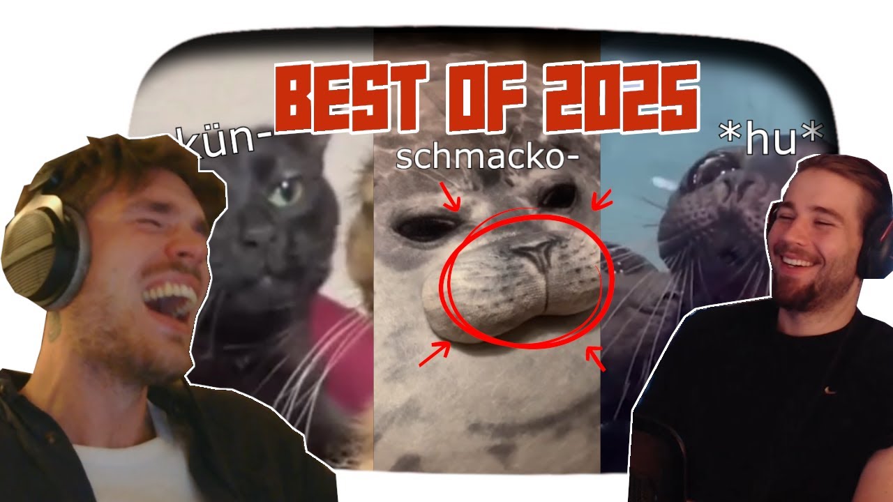 BEST OF 2025 - Lustige sprechende Tiere | 2homiedawgs