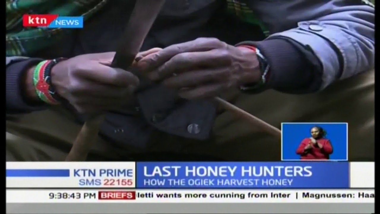 Last Honey Hunters: How the Ogiek still harvest honey using old-fashioned way to date
