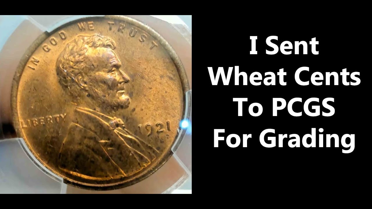 I Sent Some Wheat Cent Pennies To PCGS For Grading