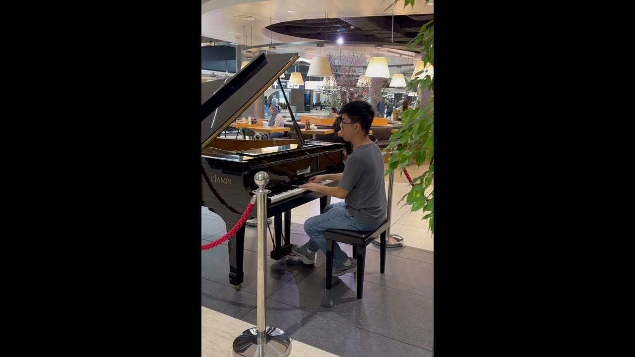 The Godfather Theme | EMOTIONAL Airport Piano Performance 🎹✈️