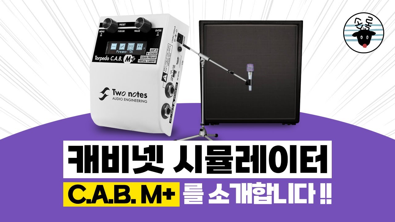 베이스에 캐비닛 시뮬이 필요한 이유  Torpedo Two Notes CAB M+ 리뷰 #1 -손록손록tv-